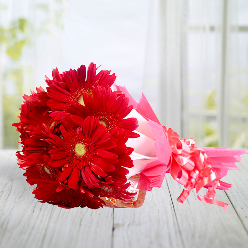 12 Pink GORGEOUS Carnations