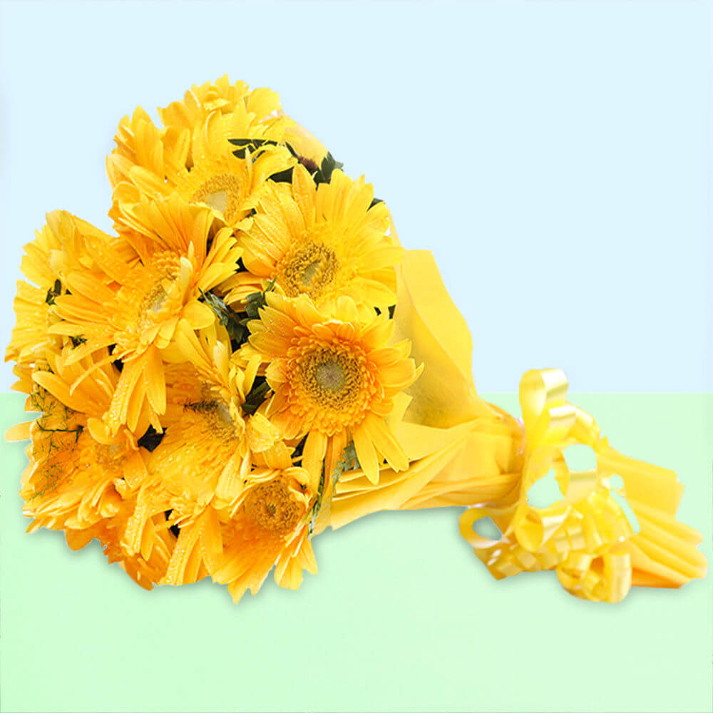 12 yellow Gerbera