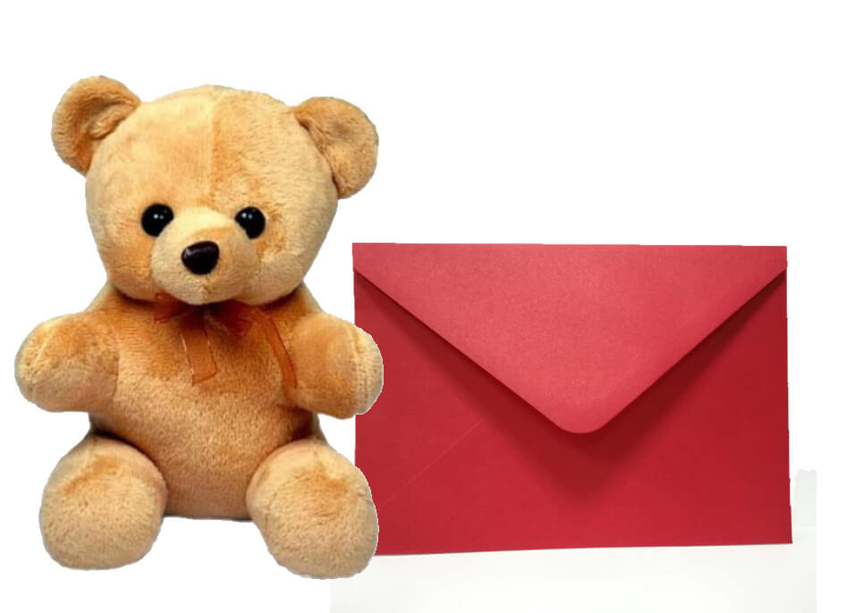 17 6 Inch Teddy Bear With Greeting Card (2)
